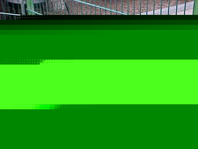 Das bin ich mit meinen Geschwistern