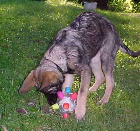 Mein neues Spielzeug