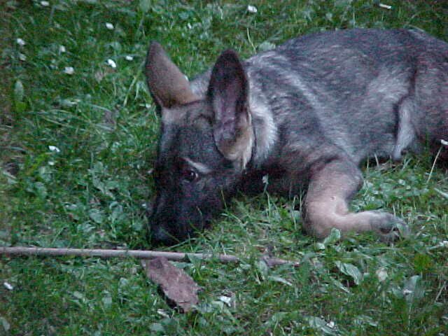 Willst du mit mir spielen?