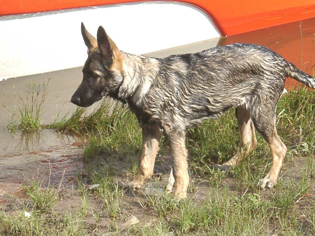 Mein Bad in der Weser