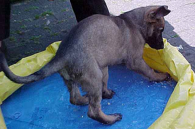 Wer hat hier die Luft rausgelassen?