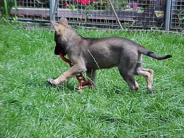 Bin schon gro&szlig;